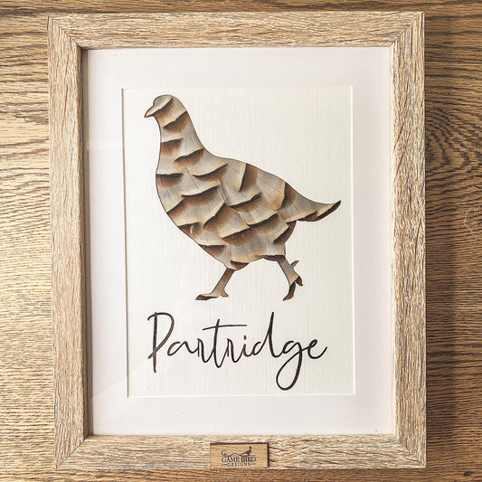 Partridge Feather Frame